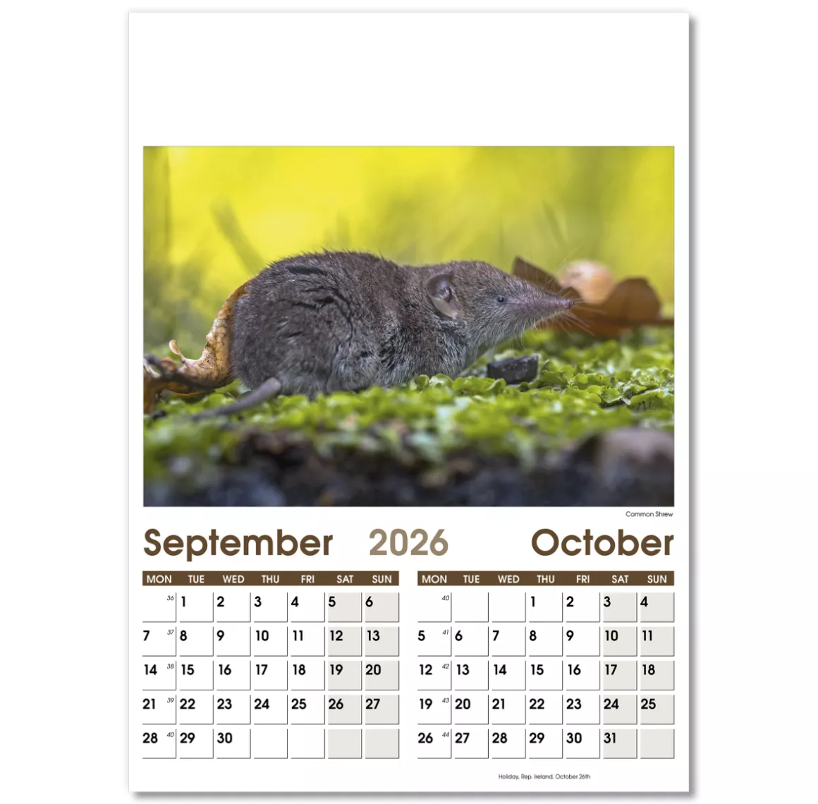 NWO057-7-leaf-rural-life-optima-wall-calendar-sep-oct.png