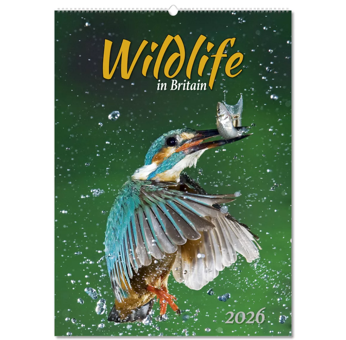 NWP324-wildlife-in-britain-wall-calendar-cover-wiro.png