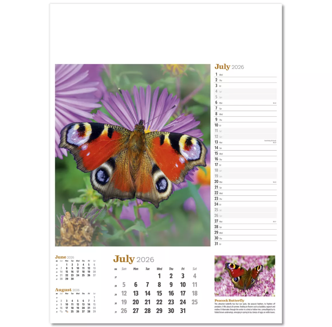 NWP324-wildlife-in-britain-wall-calendar-july.png