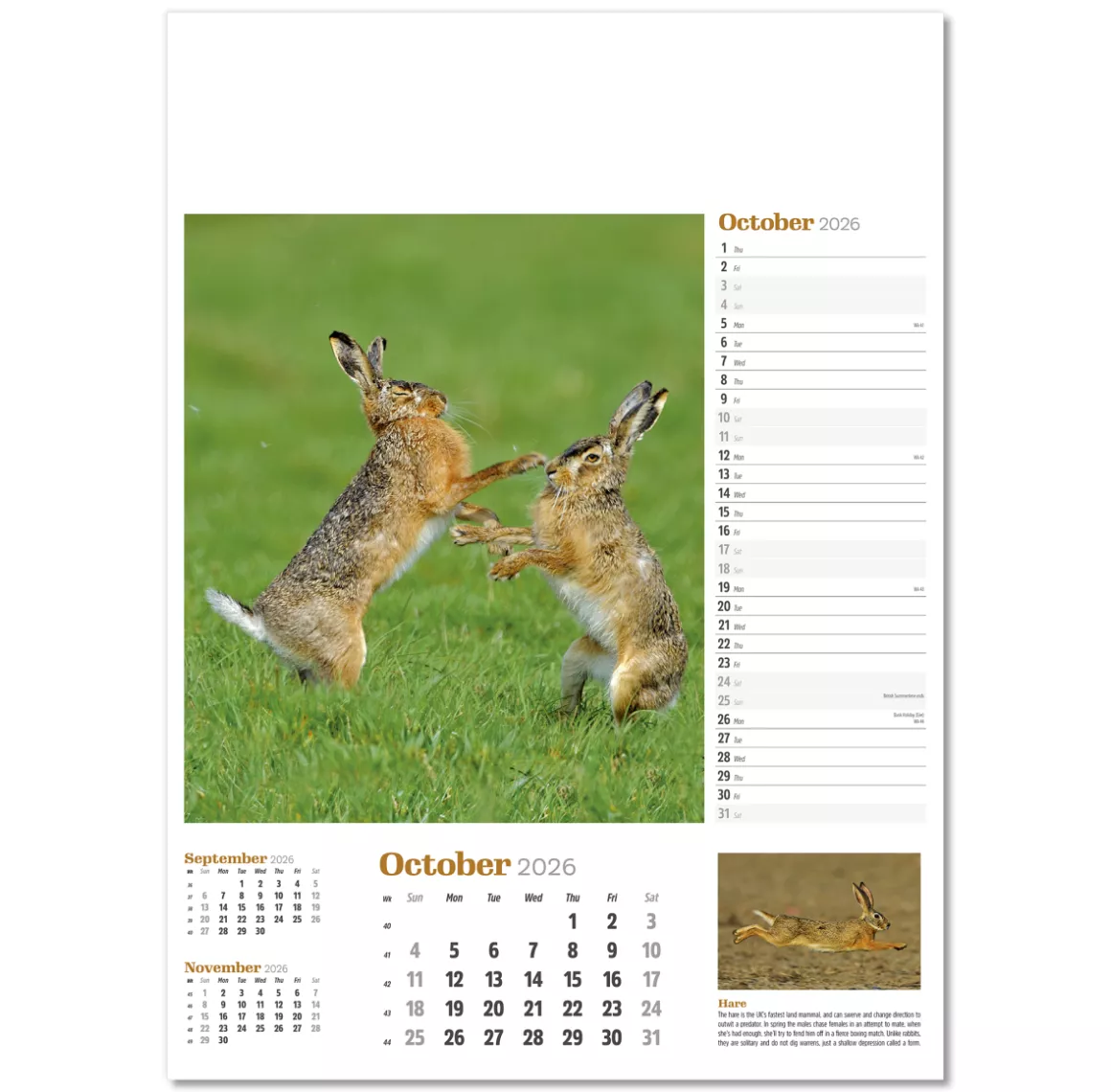 NWP324-wildlife-in-britain-wall-calendar-october.png