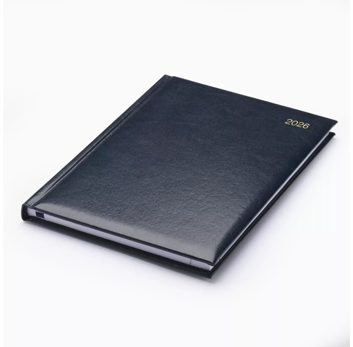 96200-strata-a5-wtv-diary-white-blue.png