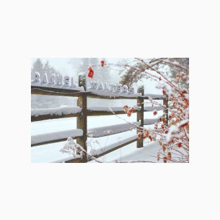 330 Snow-covered Fence