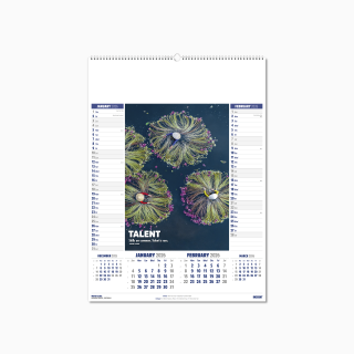 106615-insight-wall-calendar-jan-feb.png