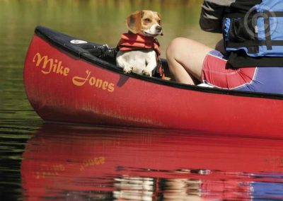 Dog on Canoe