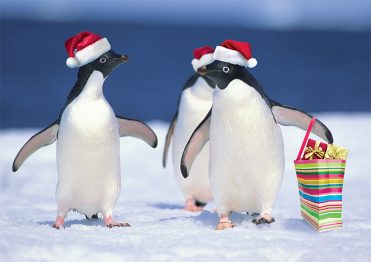 1651 - Penguin Shoppers Branded Christmas Card
