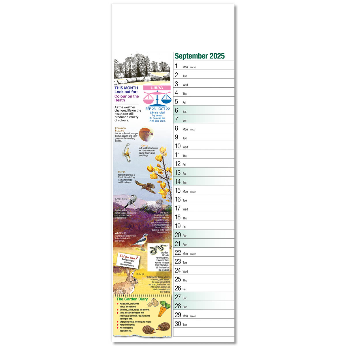 Nature Watch Slim Wall Calendar - Brunel Promotions